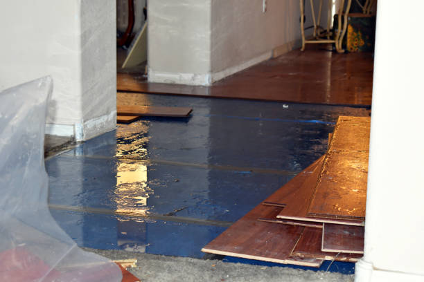 Professional Burst Pipe Cleanup technician working in Bellaire, OH